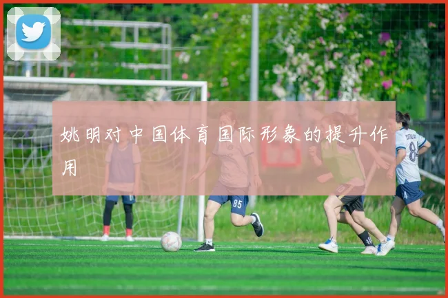 姚明对中国体育国际形象的提升作用
